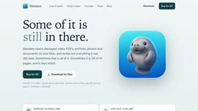 Manatee - tool for Productivity & Management