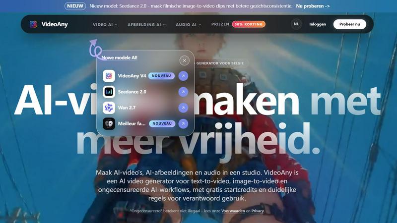 VideoAny.be application interface and features